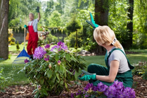 A woman wearing green gardening gloves and a grey T-shirt is kneeling beside a young shrub with large, dark green leaves and vibrant purple flowers, situated in a landscaped garden with a mixture of flower beds, soil, and mulch. In the background, a young girl in a red apron and white T-shirt is using a rake or garden tool near a pond or water feature, which is surrounded by lush greenery, including tall trees with bright green foliage, and other garden plants. The scene is well-lit with natural sunlight, indicating a bright, clear day, and the garden appears tidy and well-maintained, suitable for outdoor garden maintenance services in the Kings Cross area.