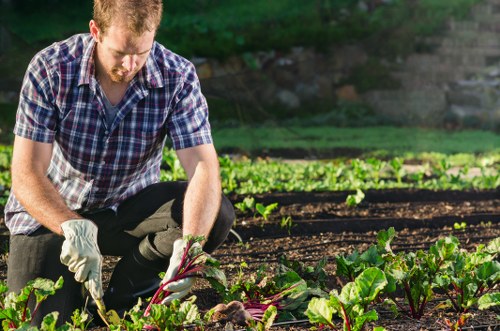 Person using a screen reader while viewing garden service information