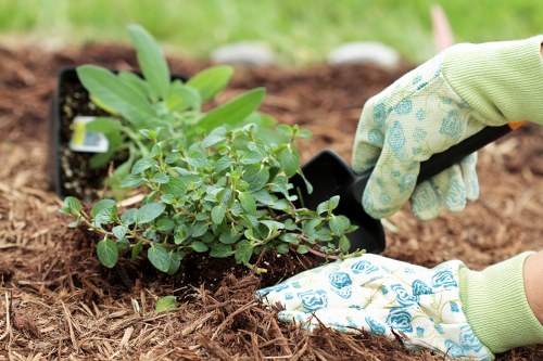 Workers using PPE during landscaping