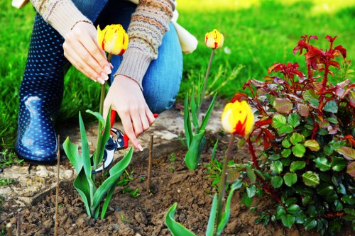Insurance certificate and policy documents for a gardening company