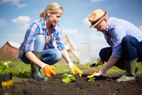 A woman and a man are working together in a garden, planting a small leafy green plant into dark, freshly turned soil. The woman has blonde hair tied back and is wearing a blue and white checkered shirt, light blue jeans, and green rubber boots, while the man is wearing a straw hat, light blue shirt, dark trousers, and green gardening gloves. They are both kneeling on the grass, focused on the planting task, with the man using his hands to place the plant and the woman preparing the soil. The garden features a lush, green lawn in the background, a hint of a wooden fence, and a blue sky with a few clouds, suggesting it is a bright, sunny day. Nearby gardening tools are visible, and the setting appears to be a well-maintained outdoor space, consistent with garden maintenance services provided in the Kings Cross area, emphasizing professional horticultural practices and outdoor care.